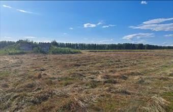 Eladó Hernádcécei tanya hirdetés (48313839)