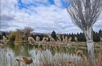 Eladó Pécsváradi egyéb ház hirdetés (36543234)