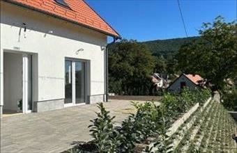 Eladó Pilisszántói családi ház hirdetés (49946217)