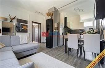 Eladó Sülysápi családi ház hirdetés (37589986)