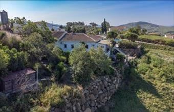 Eladó Spanyolországi tanya hirdetés (34641833)