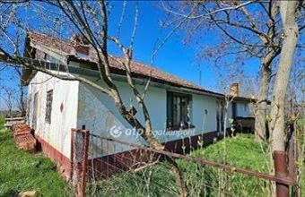 Eladó Szentesi hétvégi ház hirdetés (34279474)