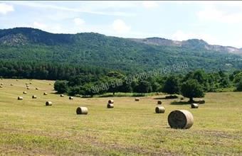 Eladó Váci egyéb mezőgazdasági ingatlan hirdetés (14157525)