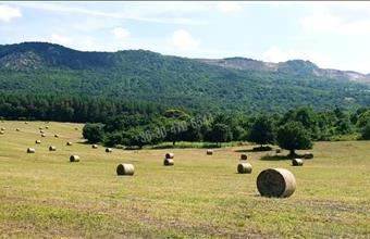 Eladó Váci egyéb mezőgazdasági ingatlan hirdetés (14157525)