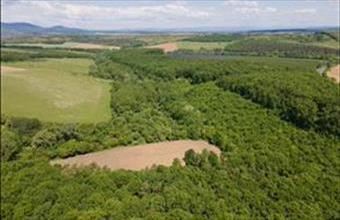 Eladó Nógrádi egyéb telek hirdetés (44445453)