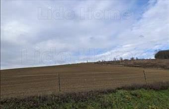 Eladó Kaposgyarmati egyéb mezőgazdasági ingatlan hirdetés (74894274)