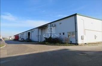 Kiadó Székesfehérvári egyéb üzlethelyiség hirdetés (39483445)