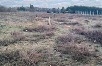 Eladó Hernádi egyéb telek hirdetés (76623456)