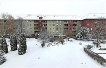 Eladó Budapest XV. kerületi egyéb lakás hirdetés (73332431)