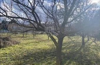 Eladó Sárszentmihályi lakóövezeti telek hirdetés (39934672)