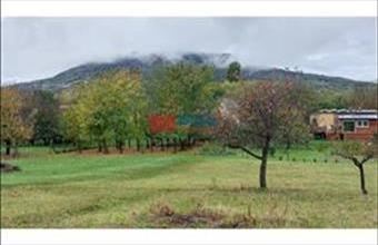 Eladó Badacsonytomaji családi ház hirdetés (39213945)