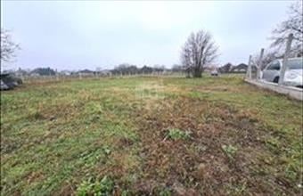 Eladó Tököli lakóövezeti telek hirdetés (33414685)