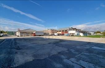 Kiadó Székesfehérvári telephely hirdetés (24778393)