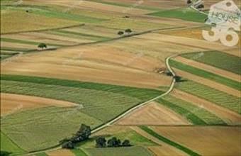 Eladó Csemői külterületi telek hirdetés (83626569)