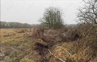 Eladó Zalaegerszegi külterületi telek hirdetés (57474929)