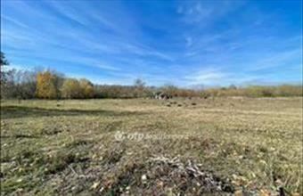 Eladó Hosszúpályi külterületi telek hirdetés (97665744)