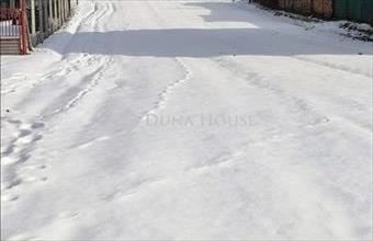 Eladó Tápszentmiklósi lakóövezeti telek hirdetés (53575337)