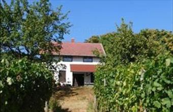 Eladó Rezi hétvégi ház hirdetés (41918954)