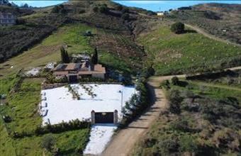 Eladó Spanyolországi tanya hirdetés (14334839)