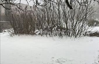 Eladó Budapest III. kerületi lakóövezeti telek hirdetés (45158327)