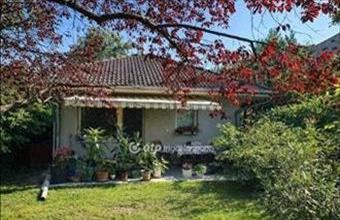 Eladó Szigetszentmiklósi családi ház hirdetés (56852927)