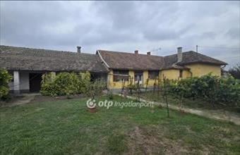Eladó Tetétleni családi ház hirdetés (77738933)