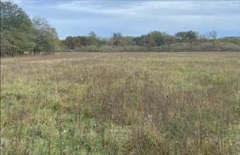 Eladó Ipolyszögi külterületi telek hirdetés (25434494)