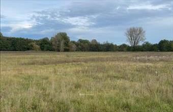 Eladó Ipolyszögi egyéb mezőgazdasági ingatlan hirdetés (34667614)