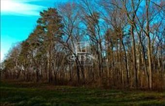 Eladó Tököli üdülőövezeti telek hirdetés (33374427)