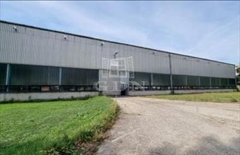 Kiadó Székesfehérvári raktár hirdetés (74843353)