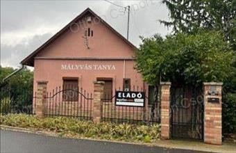 Eladó Szentesi tanya hirdetés (49341787)