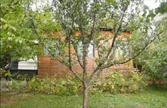 Eladó Budakeszi lakóövezeti telek hirdetés (54374728)