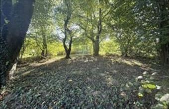 Eladó Zalaegerszegi lakóövezeti telek hirdetés (57973732)