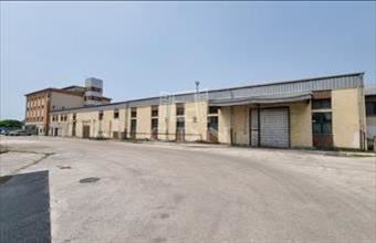 Kiadó Székesfehérvári telephely hirdetés (95636496)