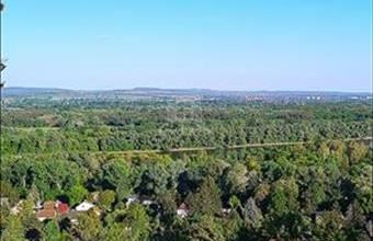 Eladó Szentendrei ikerház hirdetés (16563714)