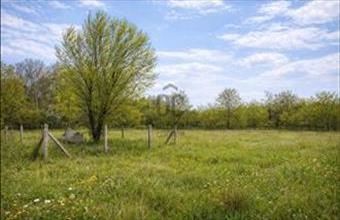 Eladó Budapest XVII. kerületi egyéb mezőgazdasági ingatlan hirdetés (45769343)