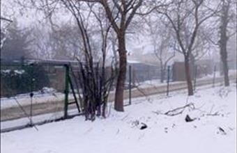 Eladó Budakalászi lakóövezeti telek hirdetés (37549877)