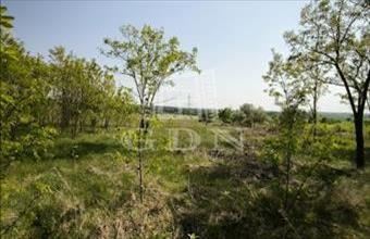 Eladó Dunakeszi termőföld, szántó hirdetés (22333734)