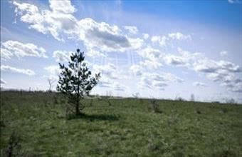 Eladó Csomádi termőföld, szántó hirdetés (39247373)