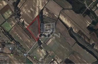 Eladó Maglódi termőföld, szántó hirdetés (38557416)