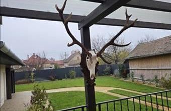 Eladó Túrkevei családi ház hirdetés (82737857)