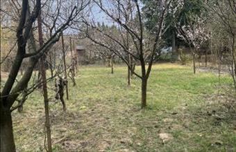 Eladó Szombathelyi egyéb mezőgazdasági ingatlan hirdetés (25525355)