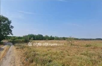 Eladó Szabadszállási egyéb mezőgazdasági ingatlan hirdetés (55227339)