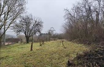 Eladó Balatonszárszói hétvégi ház hirdetés (97672814)