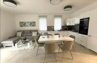 Kiadó Kecskeméti családi ház hirdetés (73594894)