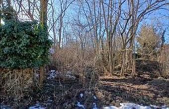 Eladó Bakonygyiróti egyéb mezőgazdasági ingatlan hirdetés (39929598)