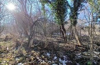 Eladó Bakonygyiróti egyéb mezőgazdasági ingatlan hirdetés (39929598)