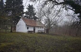 Eladó Döröskei termőföld, szántó hirdetés (44943417)