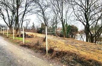 Eladó Ürömi lakóövezeti telek hirdetés (23431123)