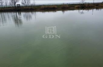 Eladó Madocsai hétvégi ház hirdetés (54334676)